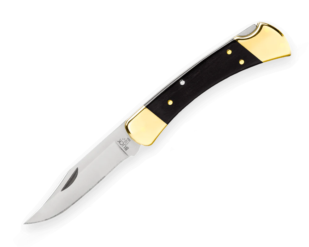 Buck 110 Hunter Folding Lock Knife
