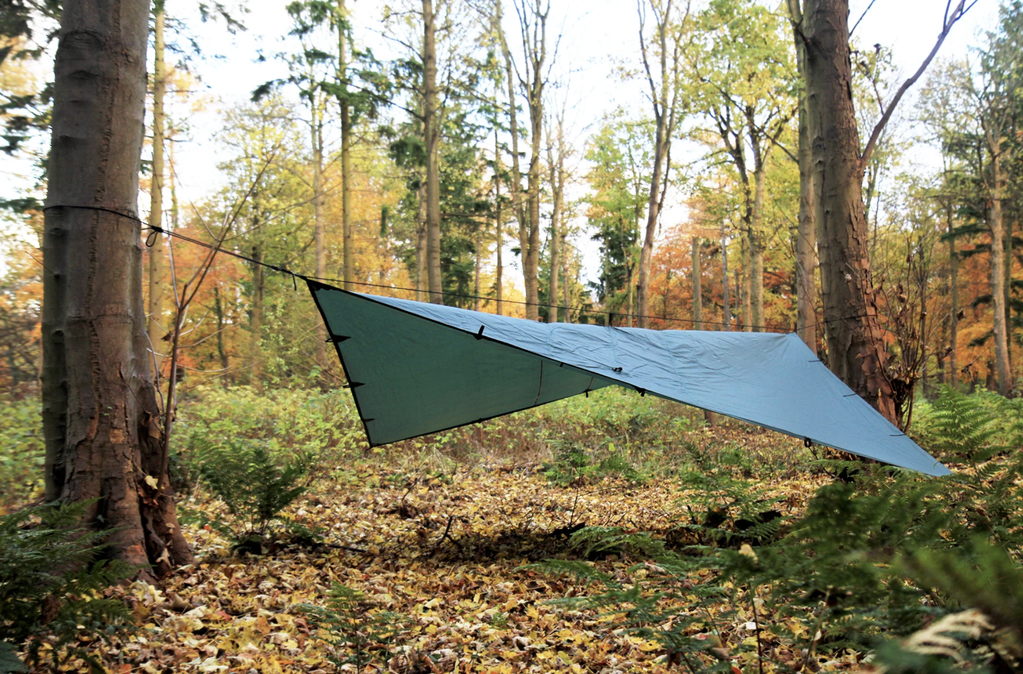 DD Hammocks Tarp 4m x 4m - Olive Green - Image 2