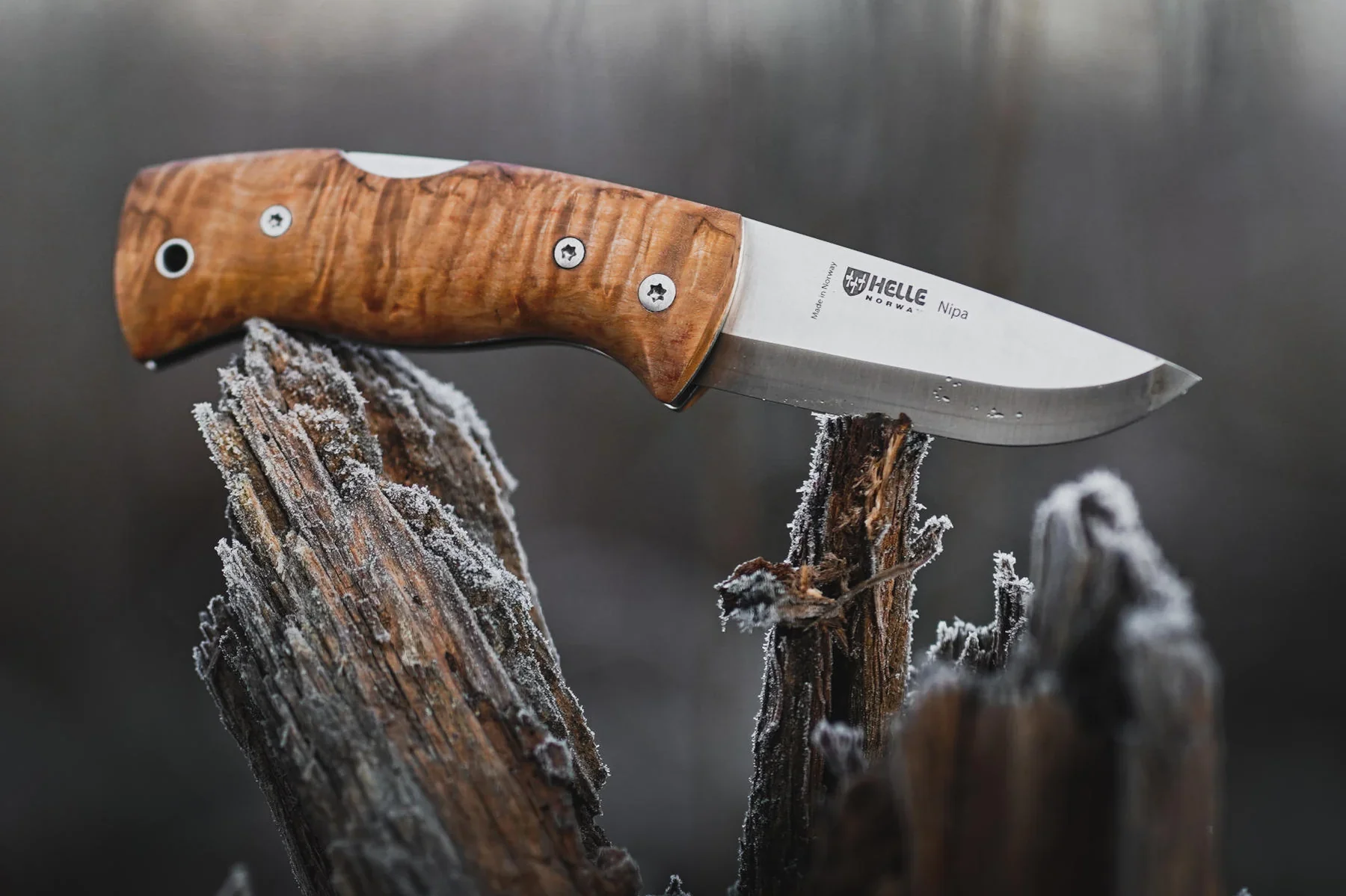 Helle Nipa Fixed Blade Knife - Image 4