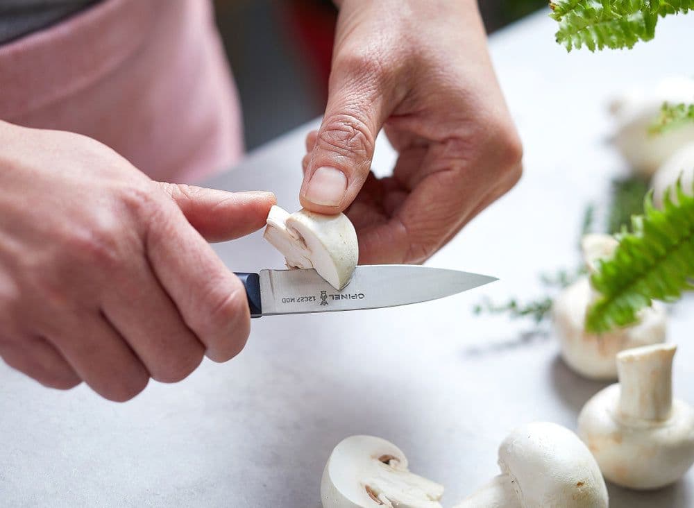 Opinel Intempora N°225 Paring Knife - Image 4
