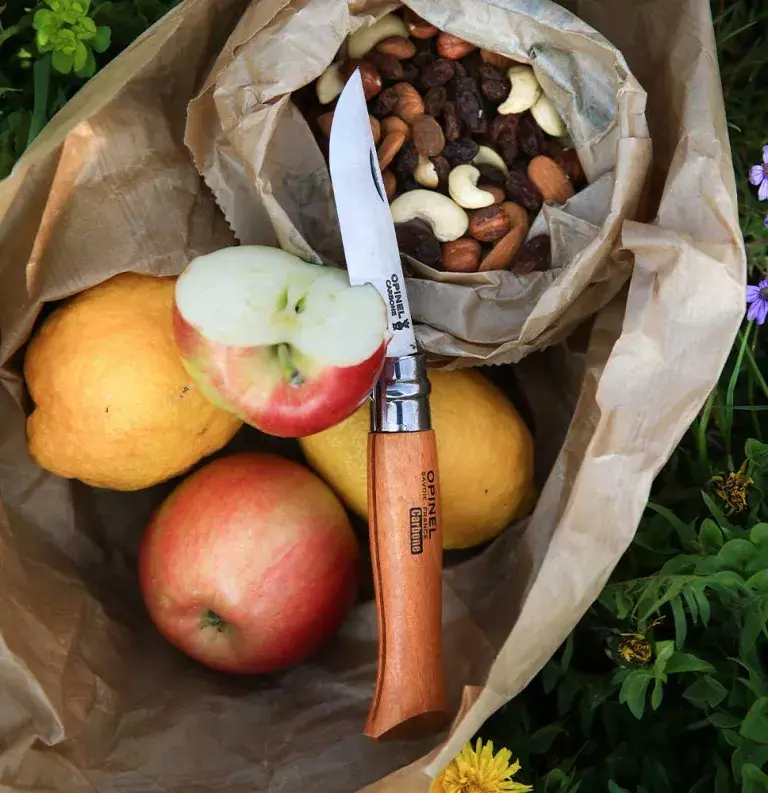 Opinel No.9 Classic Carbon Steel Folding Knife - Image 4